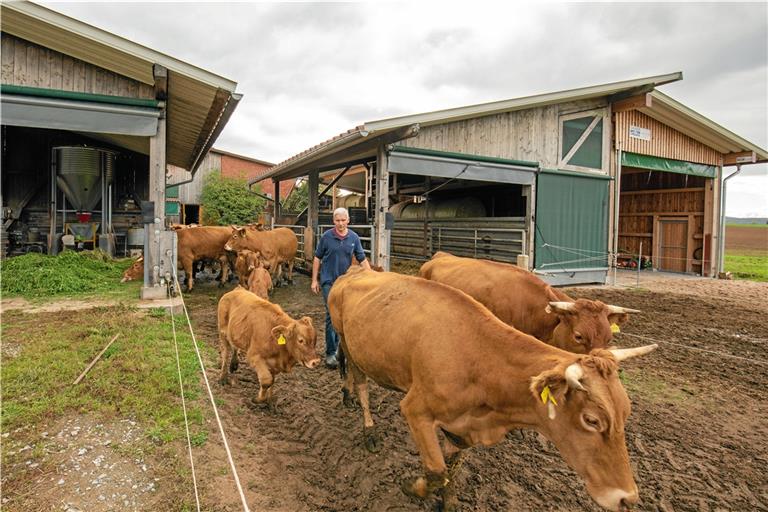 Helmut Voltz bringt seine etwa 40 Limpurger Rinder auf die Weide. Einen Großteil seiner Produkte vermarktet er auf dem Hof.Fotos: A. Becher