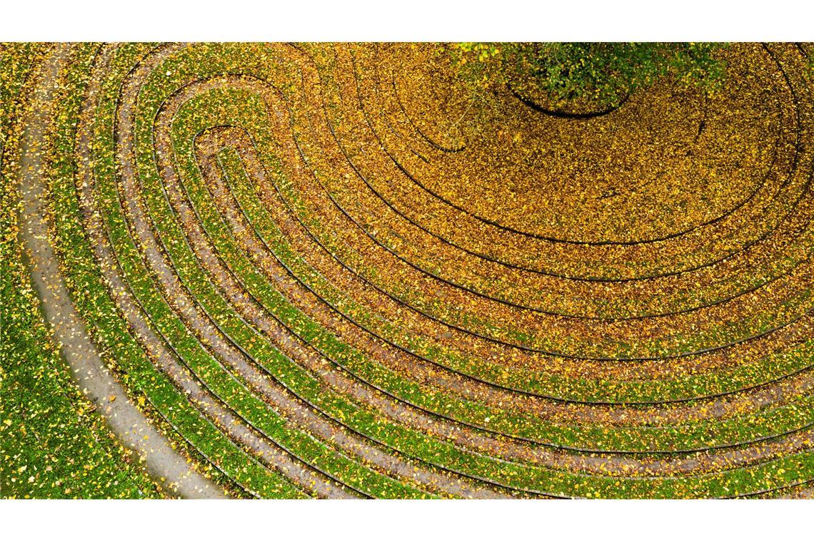 Herbstfarben im historischen Rasenlabyrinth "Das Rad"