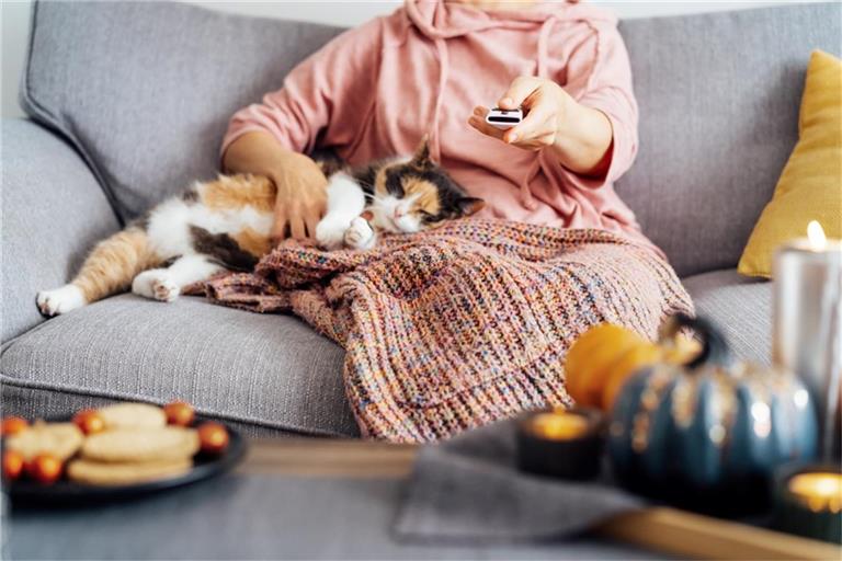 Herbstfilme laden zu gemütlichen Stunden auf dem Sofa ein.