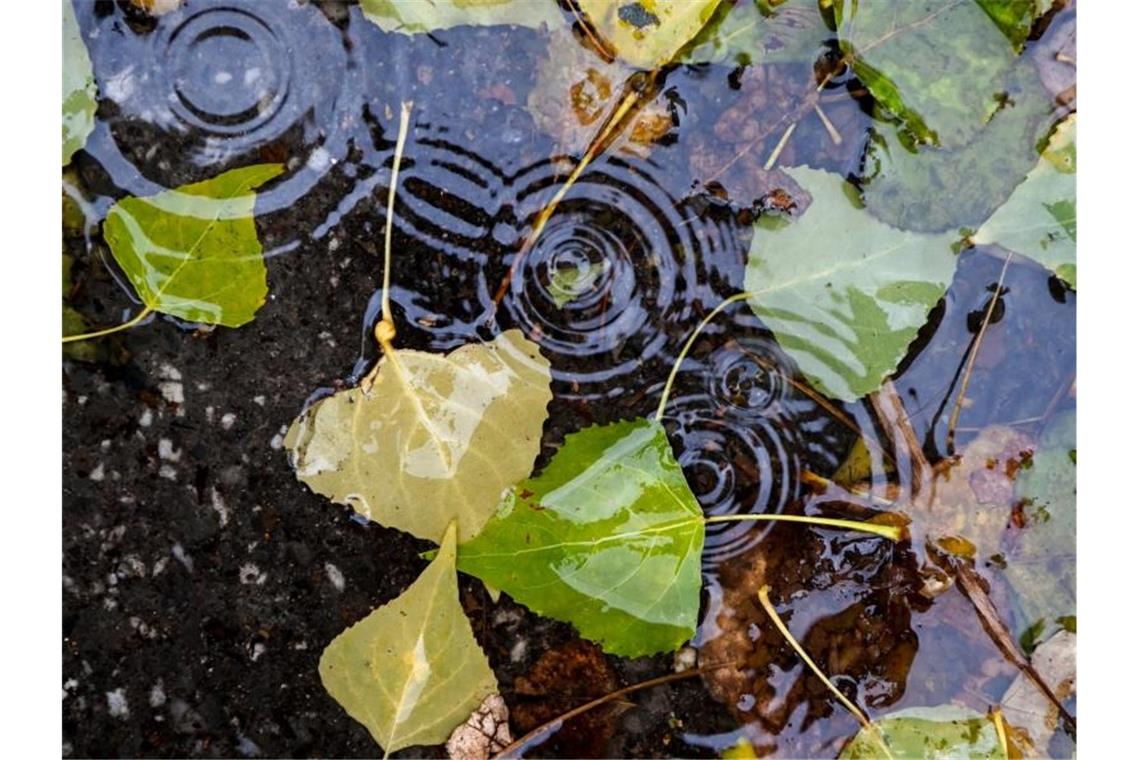 Regen und Wolken im Süden, etwas Sonne im Norden