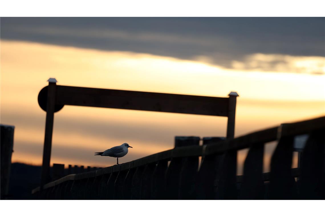 Bilder des Tages
