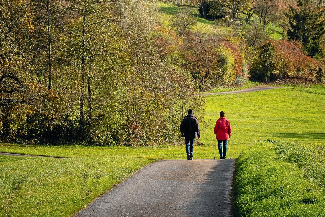 Milder Monat, trotz Nebel und Wolken