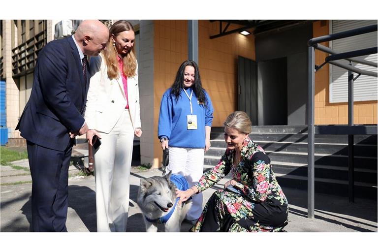 Herzogin Sophie streichelt einen Hund im Büro des United Nations Population Fund (UNFPA) in Kiew