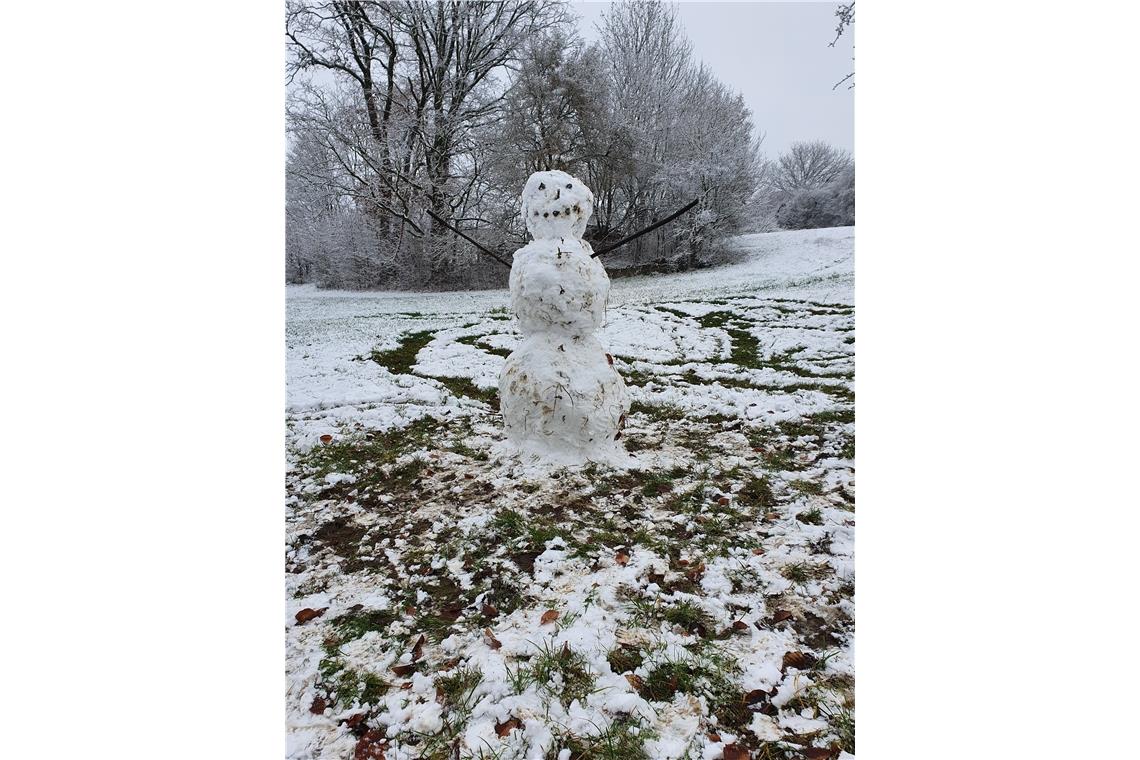 Hier der Ökoschneemann aus Oberschöntal, gebaut von Emma (3) Reinhardt