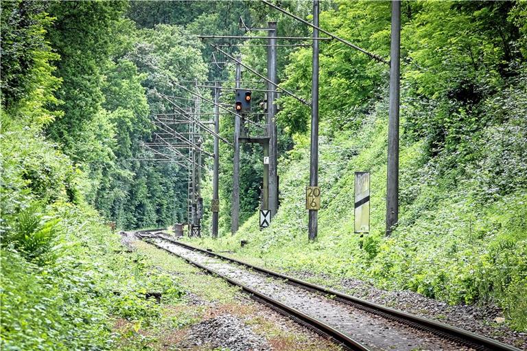 Hier finden bald  Hangsicherungsarbeiten statt. Foto: Alexander Becher