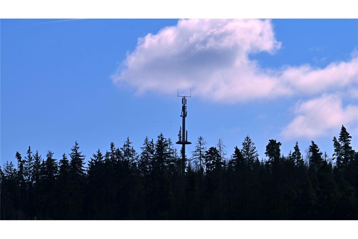 Handynutzer sollen Funklöcher aufspüren Hier gibt es Handynetz - anderswo fehlen hingegen noch Mobilfunkmasten im Wald, an Wiesen oder an Bauernhöfen. (Symbolbild)