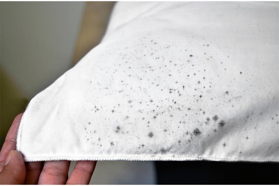 Hier stellen wir Ihnen 10 Tipps vor, wie sich schnell & einfach Schimmelflecken aus Stoff & Textilien entfernen können.