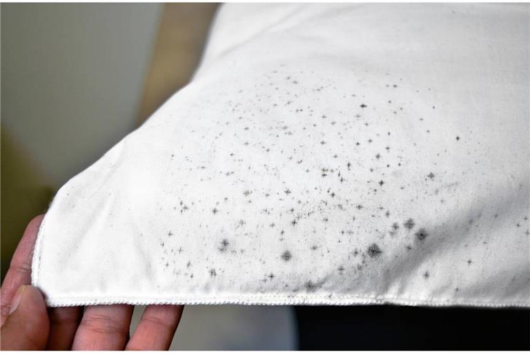 Hier stellen wir Ihnen 10 Tipps vor, wie sich schnell & einfach Schimmelflecken aus Stoff & Textilien entfernen können.