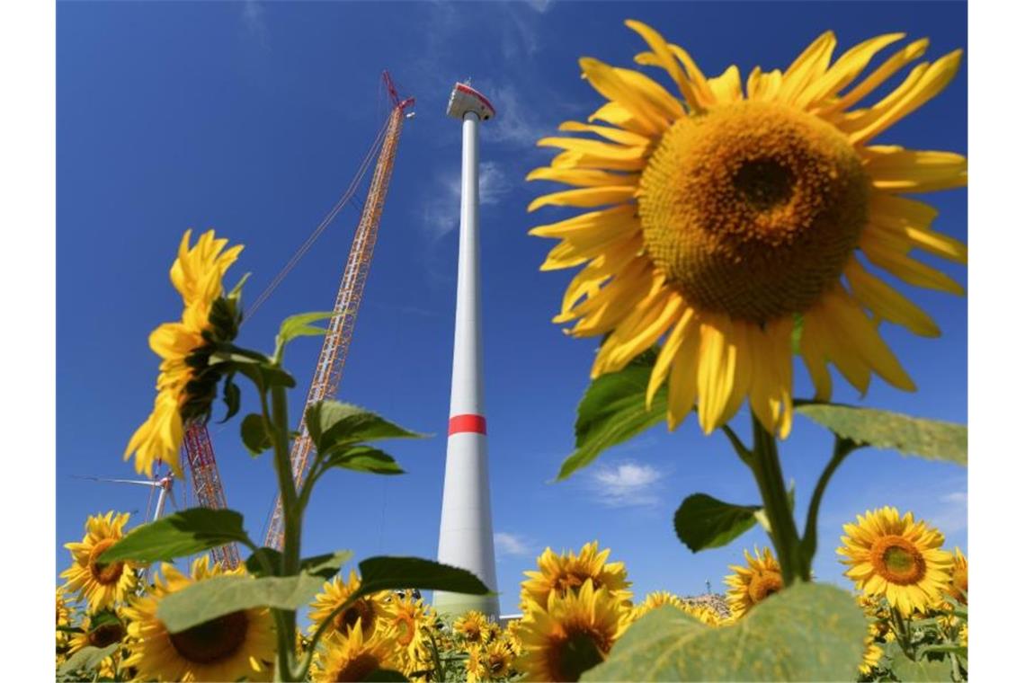 Hinter einem Sonnenblumenfeld wird eine neue Windenergieanlage aufgebaut: Der künftig Kurs der EU in Sachen Klimaschutz ist umstritten. Foto: Patrick Pleul/zb/dpa