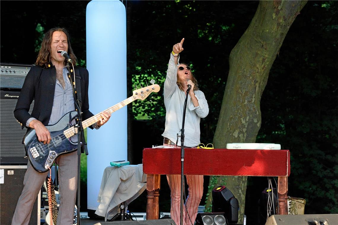 Hinterwestermurr - Bädlegelände beim Konzert der  Magical Mystery Band.