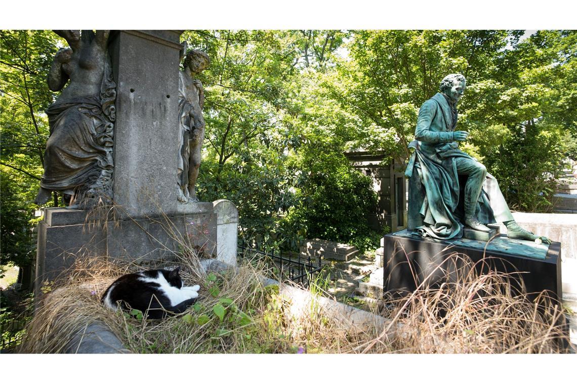 Historische Grabstätten auf Pariser Friedhöfen warten auf eine neue Nutzung. (Archivbild)