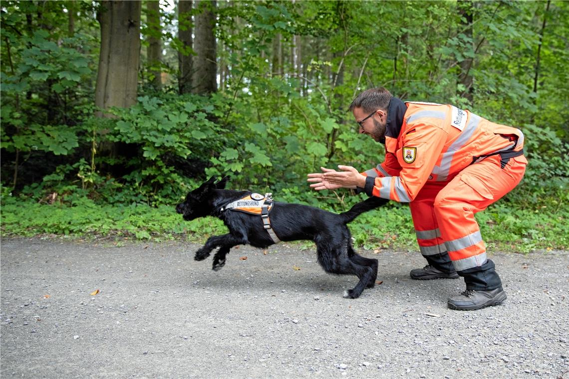 Heldenhafte Spürnasen und ihre Begleiter