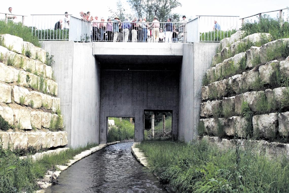 Hochwasserschutz am Brüdenbach: Der Damm bei Cottenweiler soll mit viereinhalb Metern eine ähnliche Höhe erreichen wie der vor zehn Jahren bei Unterweissach errichtete. Archivfoto