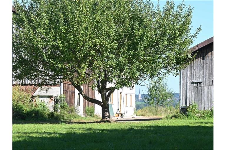 Hof am Ortsrand, auf dem nach Angaben der Behörden eine nicht genehmigte Schule untergebracht war. Foto: Peter Kneffel/dpa