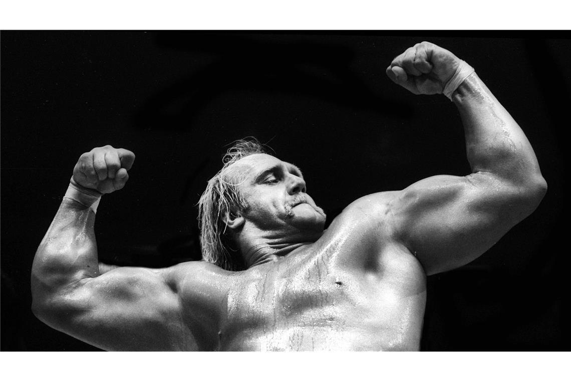 Hogans Wrestling Karriere begann Ende der Siebziger. Damals noch unter Namen wie „Terry ‚The Hulk‘ Boulder“ und „Sterling Golden“ feierte er 1977 sein professionelles Wrestlingdebüt. 1979 debütierte er dann erstmals für die damalige WWF (heute WWE). In den Achtzigern wurde Hogan zunehmend zum Superstar und Aushängeschild des Wrestlings. 1984 gelang ihm sein bis dahin größter Triumph: Am 23. Januar wurde er im Kampf gegen „The Iron Sheik“ zum ersten Mal World Heavyweight Champion.