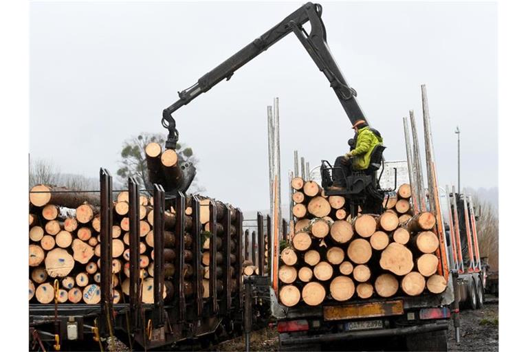 Holz mit einem Kran verladen. Foto: Holger Hollemann/dpa/Symbolbild