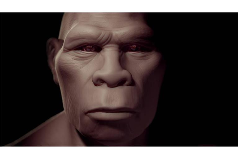 Homo erectus gilt als die erste Menschenart, die Afrika verließ und den eurpäischen und asiatischen Kontinent besiedelte.