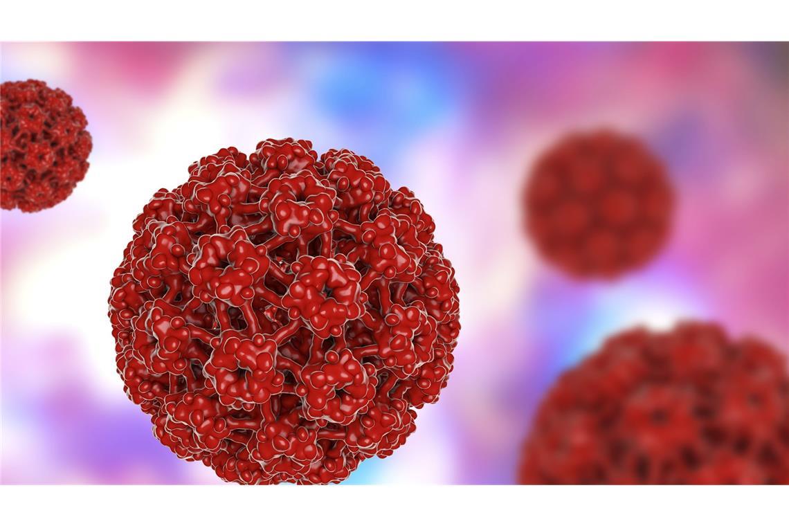 HPV-Impfung erweist sich als sehr effektiv HPV werden sexuell übertragen und können unter anderem Gebärmutterhalskrebs sowie Krebs im Mund-Rachen-Raum, an weiblichen und männlichen Geschlechtsorganen und im After verursachen.