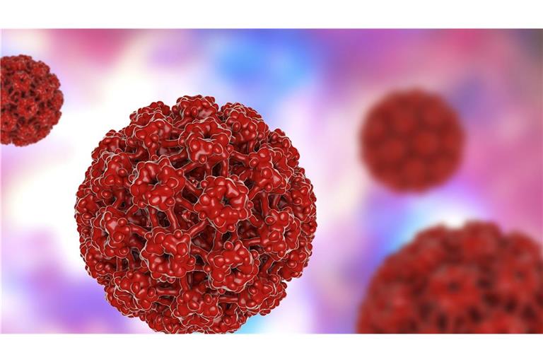 HPV werden sexuell übertragen und können unter anderem Gebärmutterhalskrebs sowie Krebs im Mund-Rachen-Raum, an weiblichen und männlichen Geschlechtsorganen und im After verursachen.