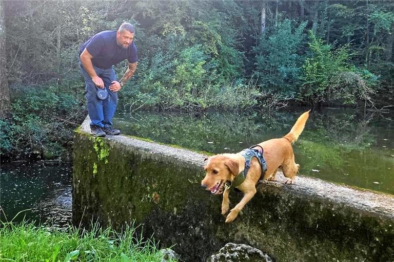 Hündin Sissi begleitet Andreas Gruber auf seinen Abenteuern im ganzen Landkreis – wie hier am Eisenbachsee. Foto: privat