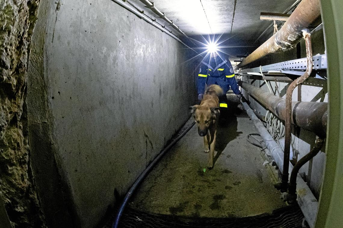 Hunde durchsuchen auch enge Schächte.