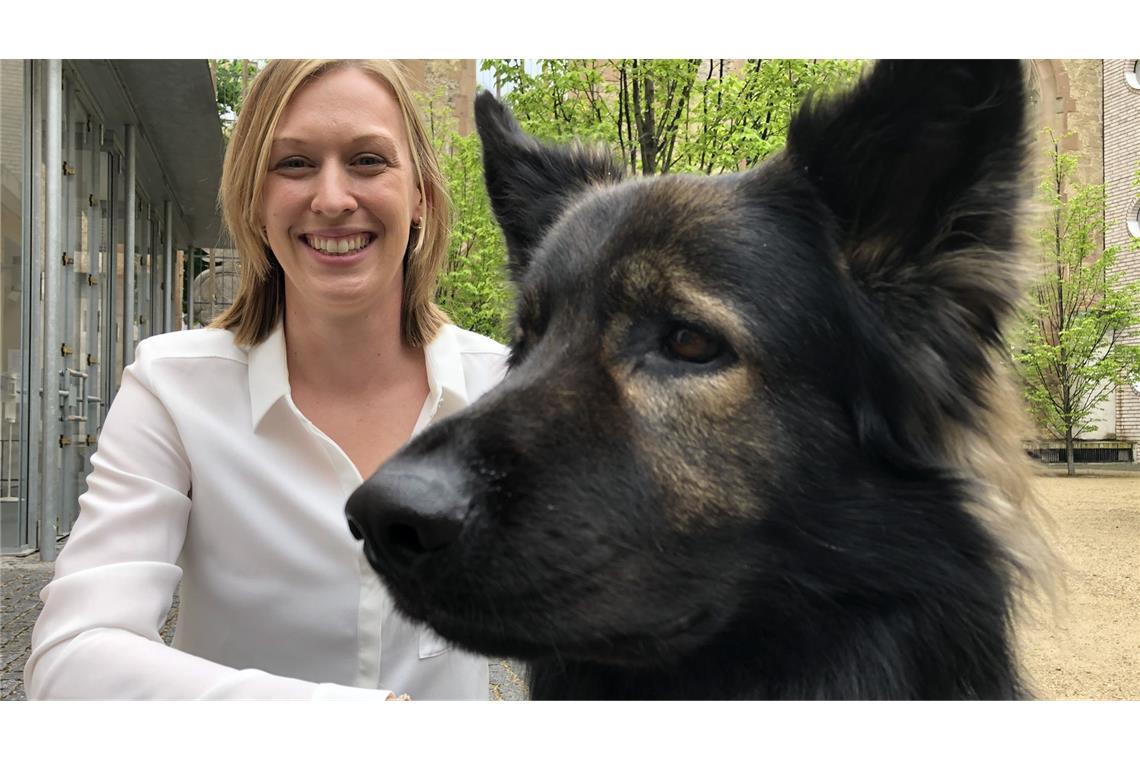 Hundeführerin Sabine Kubinski kniet im Stuttgarter Hospitalhof neben einem Therapiebegleithund. (Archivbild)
