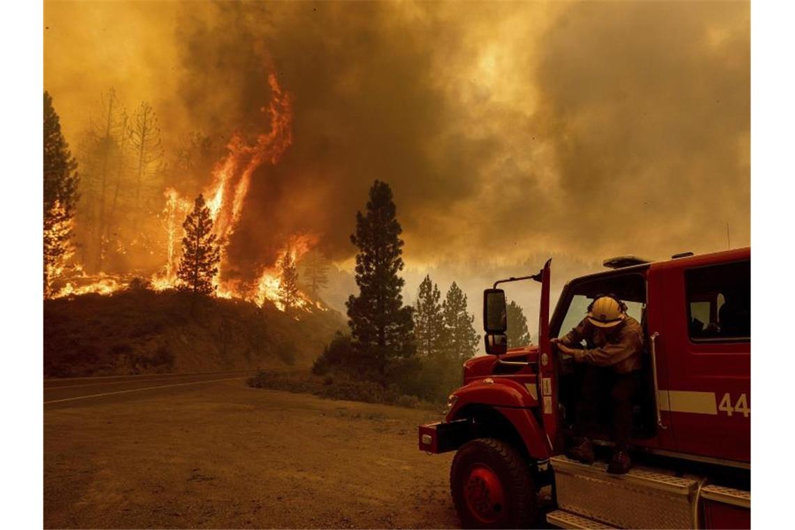 Hunderte Feuerwehrleute sind dauerhaft im Einsatz, auch im Plumas National Forest. Foto: Noah Berger/AP/dpa