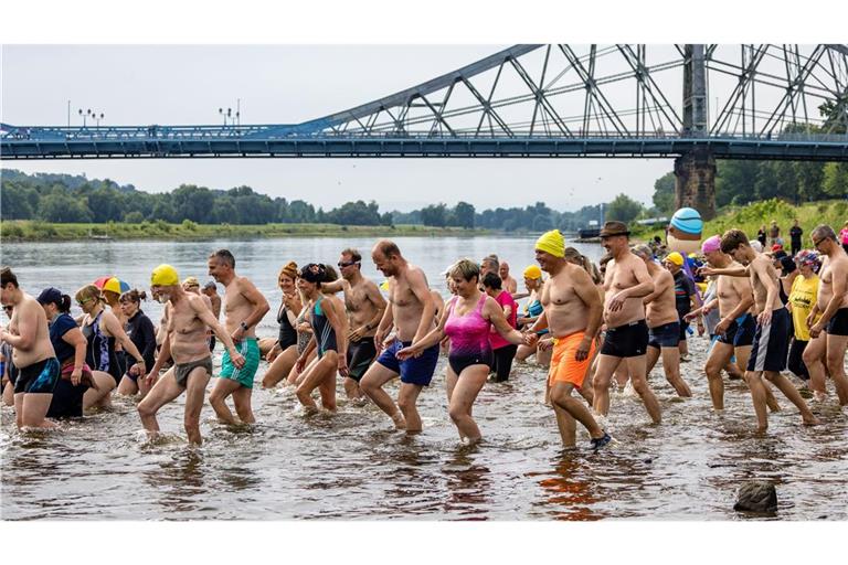 Hunderten Menschen machen beim Elbeschwimmen mit.