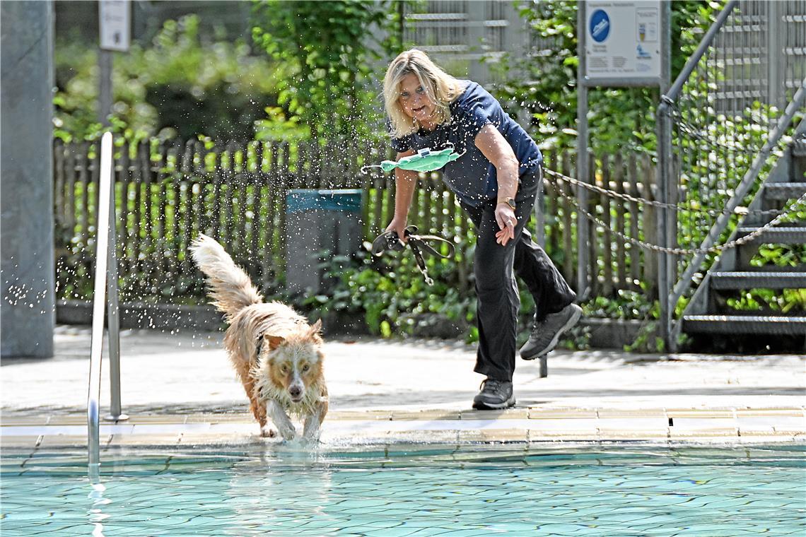 Hundeschwimmen im Freibad Wonnemar in Backnang zum Abschluß der Freibadsaison. S...