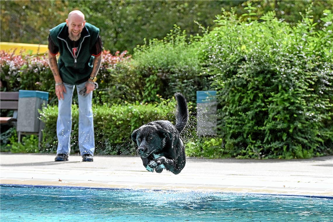 Hundeschwimmen im Freibad Wonnemar in Backnang zum Abschluß der Freibadsaison. S...