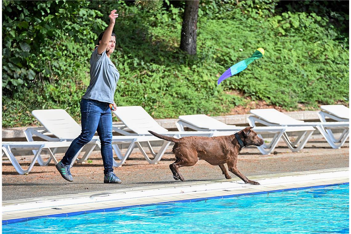 Hundeschwimmen im Freibad Wonnemar in Backnang zum Abschluß der Freibadsaison. S...