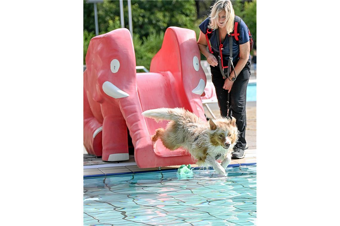Hundeschwimmen im Freibad Wonnemar in Backnang zum Abschluß der Freibadsaison. S...