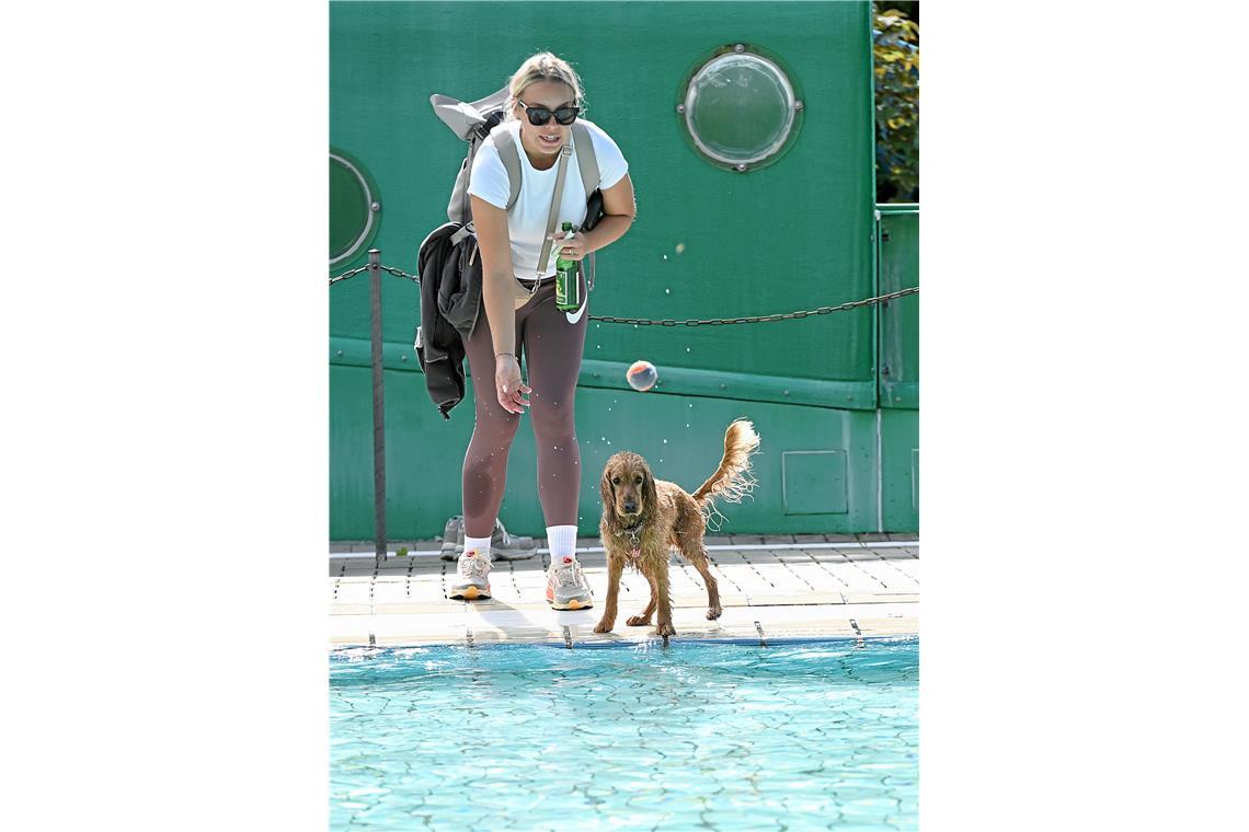Hundeschwimmen im Freibad Wonnemar in Backnang zum Abschluß der Freibadsaison. S...