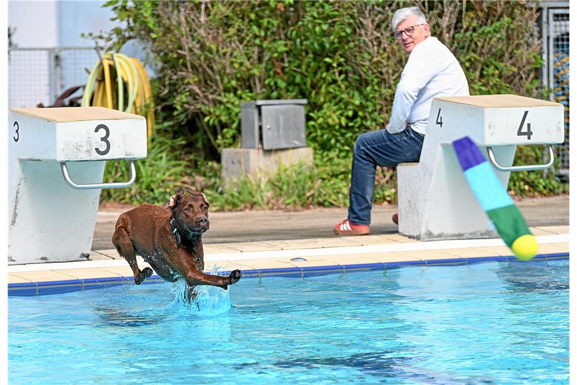 Hundeschwimmen im Freibad Wonnemar in Backnang zum Abschluß der Freibadsaison. S...