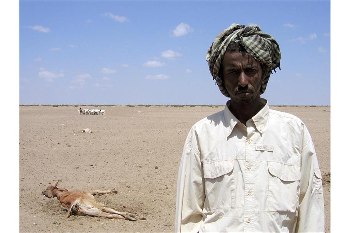 Der vergessene Kontinent? Greta Thunberg wirbt für Afrika Hungersnot in Kenia: Ein junges Kamel liegt tot im Sand. Es wurde kurz nach der Geburt getötet, weil das Muttertier wegen der anhaltenden Dürre zu schwach war, es zu ernähren. Foto: DB Ulrike Koltermann/dpa
