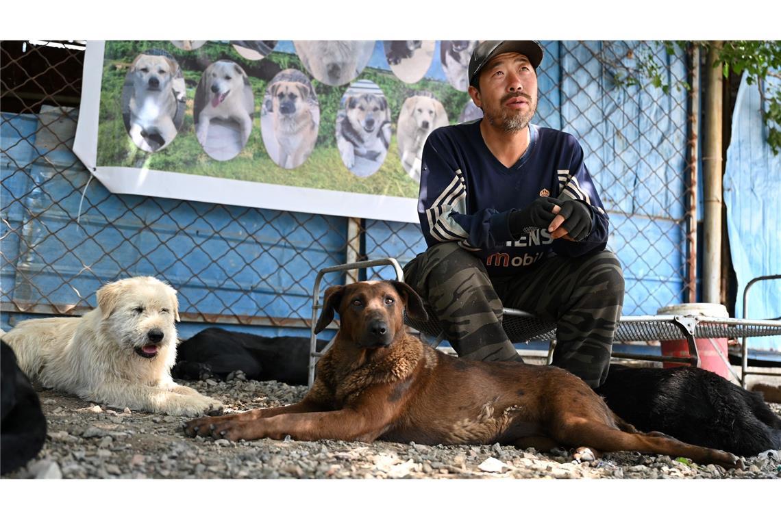 Haustier-Boom in China: Wie Retter mit den Folgen kämpfen Huzi hatte zehn Jahre in Peking gearbeitet, bevor er entschied, sich nur noch um Hunde zu kümmern.