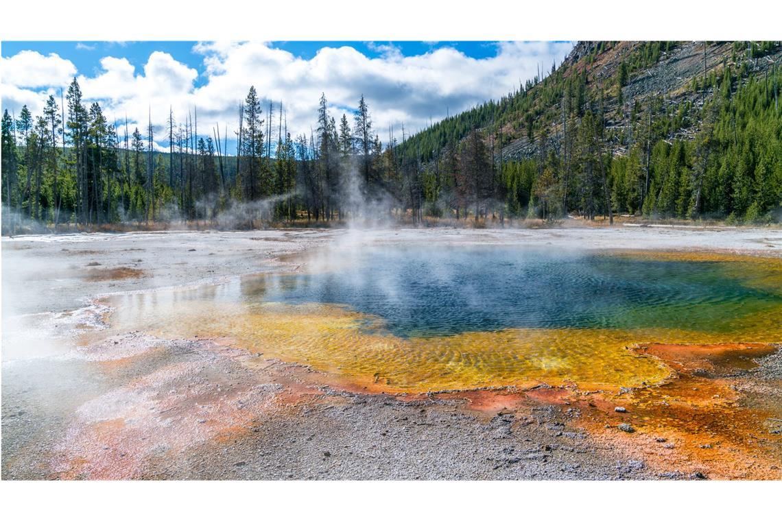 Hydrothermalquelle im Yellowstone National Park in den USA.