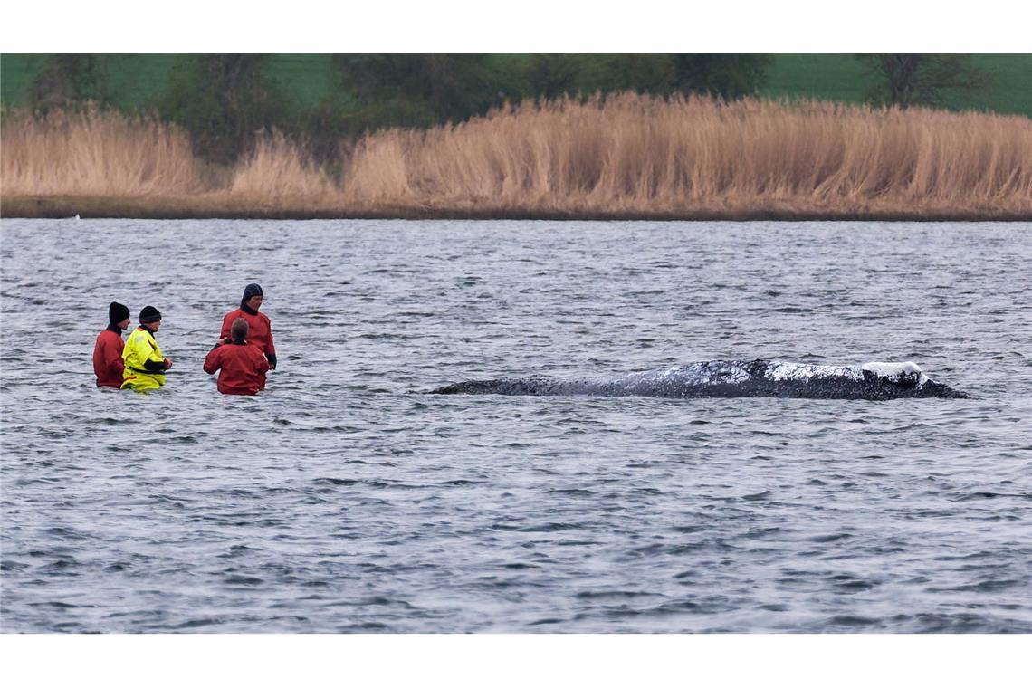 "Ich bin heute Morgen bei ihm gewesen, direkt an ihm dran", sagte Till Backhaus.