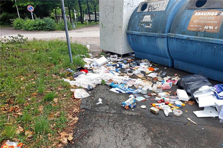 Illegale Müllablagerung an den Depotcontainern an der Carl-Kaelble-Straße. Foto: privat