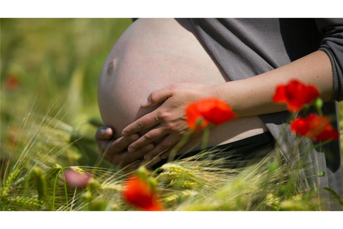 Illustration -  Eine im neunten Monat schwangere Frau steht in einem Getreidefeld mit Mohnblumen unweit von Frankfurt (Oder) während eines Fotoshootings, aufgenommen am 22.06.2010. (zu dpa: «Paracetamol in der Schwangerschaft: Möglicher Einfluss auf Töchter»)