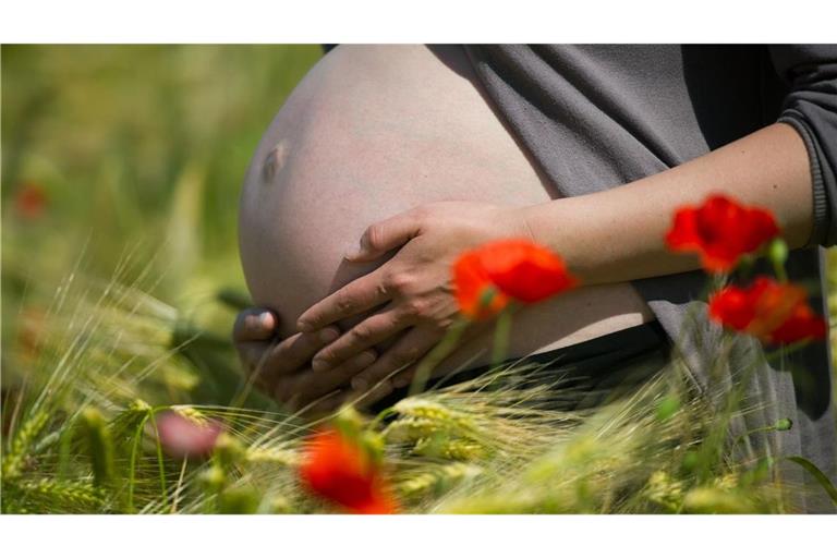 Illustration -  Eine im neunten Monat schwangere Frau steht in einem Getreidefeld mit Mohnblumen unweit von Frankfurt (Oder) während eines Fotoshootings, aufgenommen am 22.06.2010. (zu dpa: «Paracetamol in der Schwangerschaft: Möglicher Einfluss auf Töchter»)
