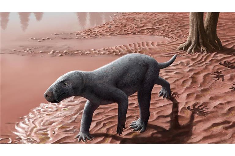 Illustration eines Gorgonopsiers.