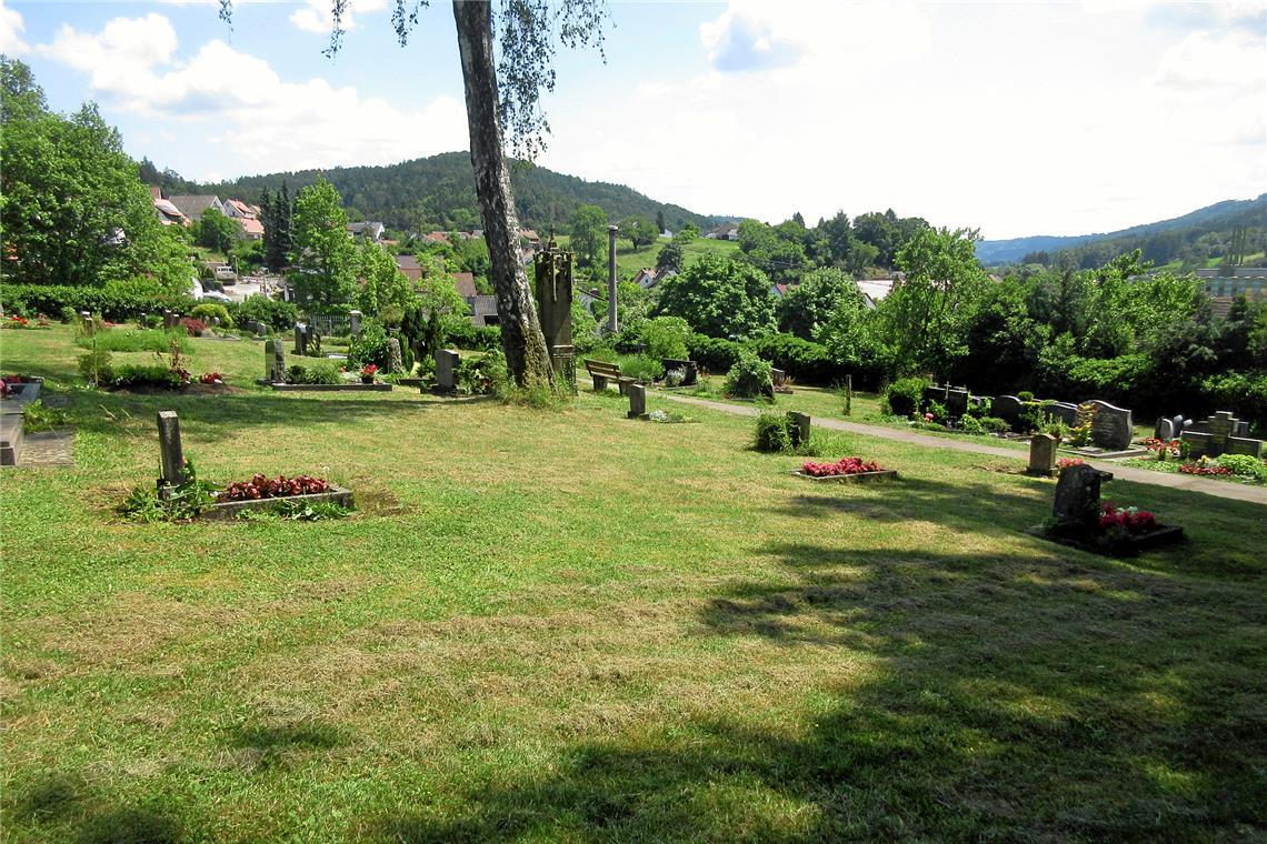 Landschaftsarchitekt schafft Ordnung auf dem Sulzbacher Friedhof Im älteren Teil des Sulzbacher Friedhofs gibt es noch einzelne Erdgräber (im Vordergrund Kindergräber). Hier soll mit modernen Formen eine Art Park entstehen. Foto: Archiv