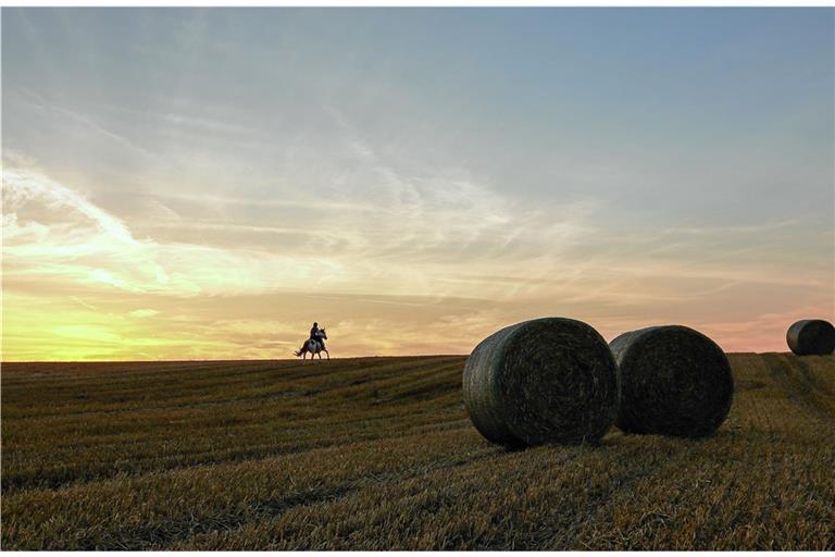 Im August fielen nur knapp 50 Prozent der üblichen Niederschlagsmenge. Der Monat war deutlich trockener als sonst. Archivfoto: Alexander Becher