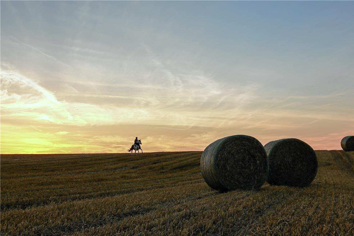 Im August fielen nur knapp 50 Prozent der üblichen Niederschlagsmenge. Der Monat war deutlich trockener als sonst. Archivfoto: Alexander Becher