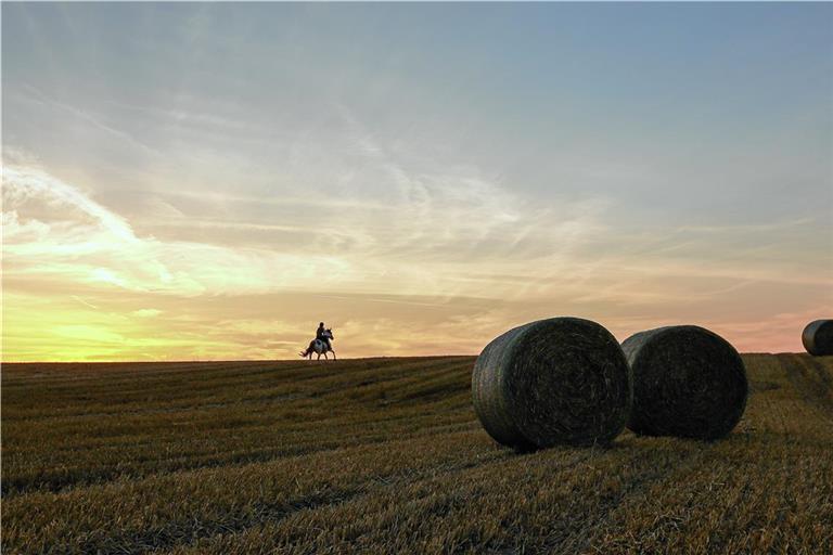 Im August fielen nur knapp 50 Prozent der üblichen Niederschlagsmenge. Der Monat war deutlich trockener als sonst. Archivfoto: Alexander Becher