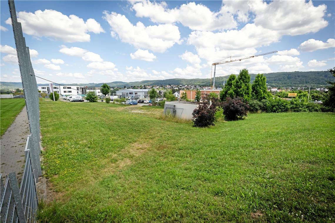 Im Bereich Bildäcker neben dem Sportplatz nahe dem Netto-Markt wird der neue Kindergarten der Gemeinde Allmersbach im Tal entstehen. Foto: Alexander Becher