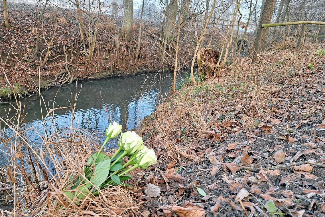 Auenwald-Das-tragische-Ende-einer-Faschingsparty