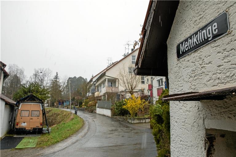 Im Bereich Mehlklinge soll ein Baugebiet für 20 Wohneinheiten entstehen. Die einspurige Zufahrtsstraße, die Dichte der geplanten Bebauung und die Auswirkungen auf das Ortsbild sehen die Anwohner weiterhin als Problem an. Archivfoto: A. Becher