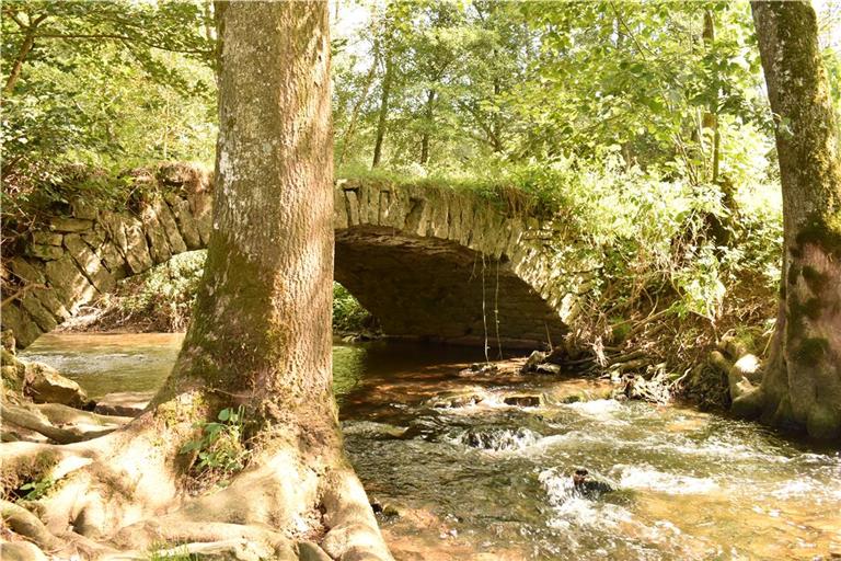 Im Buchenbachtal über die Steinbrücken schlendern. Foto: Gemeinde Affalterbach